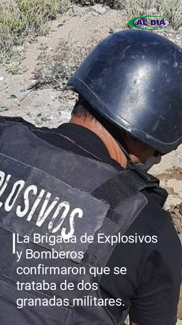 Imagen adicional