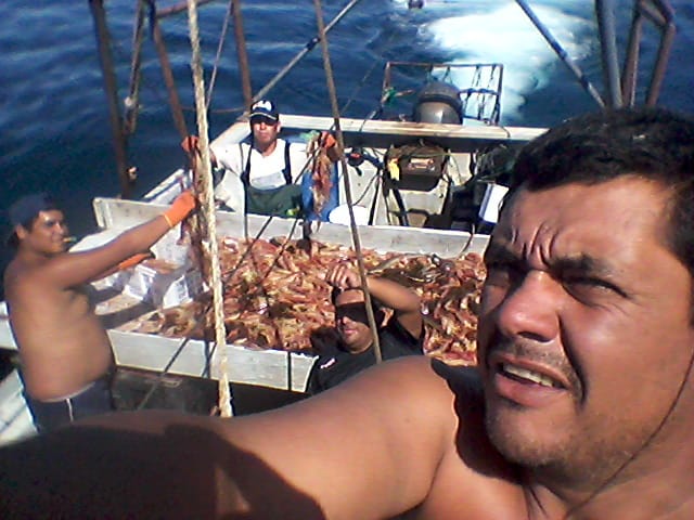 Imagen adicional